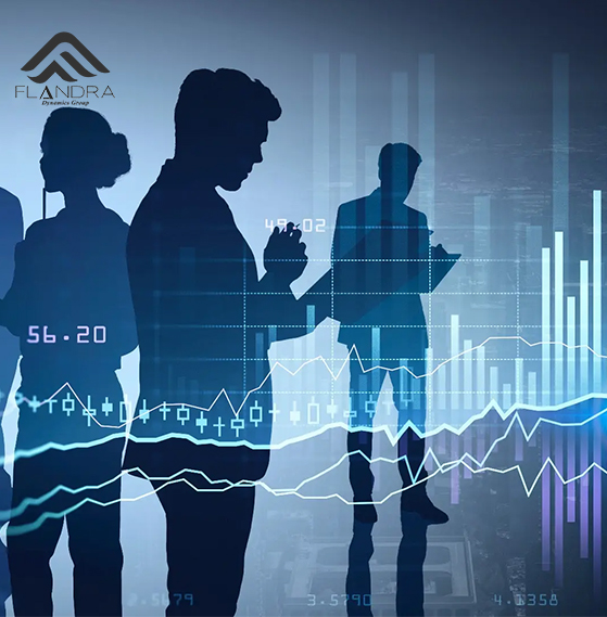FLANDRA DYNAMICS GROUP Company Overview